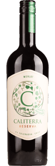 Caliterra Reserva Merlot